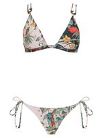 Cortina fixa e tanga de amarrar Tropical Paradise Amir Slama+Avatim