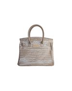 Birkin Croco Grey AC