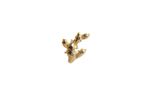 Pin Ouro Cacto AC