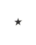 Pin Prata Estrela AC
