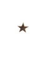 Pin Ouro Estrela AC