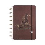 CADERNO INTELIGENTE HARRY POTTER CHAPÉU SELETOR - MÉDIO