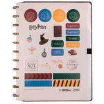 CADERNO INTELIGENTE HARRY POTTER CHAPEU SELETOR - GRANDE