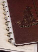 CADERNO INTELIGENTE HARRY POTTER CHAPEU SELETOR - GRANDE