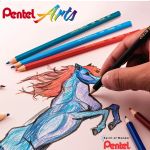 Lápis De Cor C/24 Cores CB8-24 PENTEL