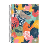CADERNO UNIVERSITÁRIO BOM D+ FEM 01 MATÉRIA 80 FOLHAS PCT C/4
