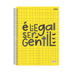 CADERNO UNIVERSITÁRIO BOM D+ FEM 01 MATÉRIA 80 FOLHAS PCT C/4