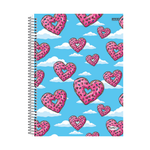 CADERNO UNIVERSITÁRIO BOM D+ FEM 01 MATÉRIA 80 FOLHAS PCT C/4