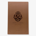 CADERNO TRAVELLERS JOURNAL 22X14CM PLATAFORM 9 3/4