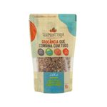 Mix de Sementes Zero Açúcar A Sementeria 150g