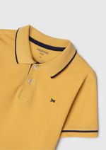 Camisa Polo Básica Menino De Algodão Com Bordado