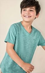 Camiseta Básica Infantil Menino Flamê Em Decote V