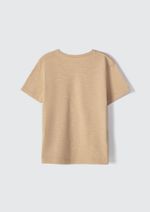 Camiseta Básica Infantil Menino Flamê Em Decote V