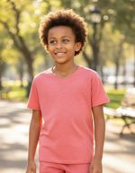 Camiseta Básica Infantil Menino Flamê Em Decote V
