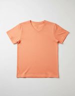 Camiseta Básica Infantil Menino Flamê Em Decote V