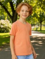 Camiseta Básica Infantil Menino Flamê Em Decote V