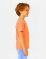 Camiseta Básica Infantil Menino Flamê Em Decote V