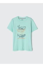 Pijama Infantil Menino Curto Com Estampa