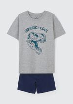 Pijama Infantil Menino Curto Com Estampa