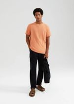 Camiseta Masculina Flamê Regular Manga Curta