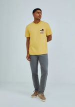 Camiseta Masculina Flamê Regular Manga Curta