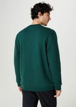 Blusão Em Moletom Masculino Com Estampa Verde G