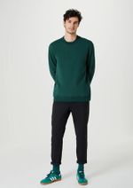 Blusão Em Moletom Masculino Com Estampa Verde G