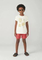 Shorts Infantil Menino Estampado Em Tactel