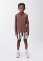 Shorts Infantil Menino Estampado Em Tactel