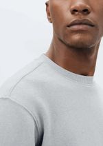 Blusão Básico Masculino Comfort Em Moletom Peluciado