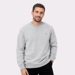 Blusão Básico Masculino Comfort Em Moletom Peluciado