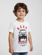 Camiseta Meninos Manga Curta Algodão Infantil
