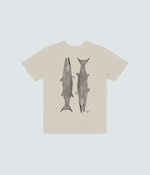 T-Shirt Barracudas