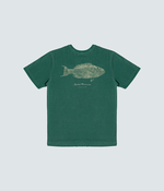 T-Shirt Parrot fish