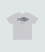 T-Shirt Parrot fish