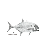 T-Shirt Giant Trevally