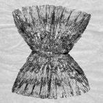 A Concha - Cherne