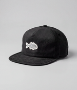 Boné Xaréu Snapback
