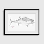 Dogtooth Tuna