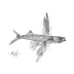 Peixe Voador