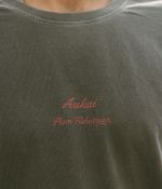 Camiseta Red Snapper | Chumbo