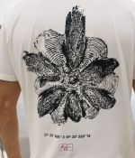 Camiseta Araucária | Off White
