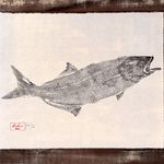 Obra Original | Anchova I