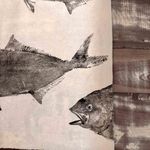 Obra Original | Cardume de Olhos de Boi 3