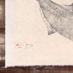 Obra Original | Anchova II