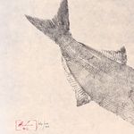 Obra Original | Anchova II