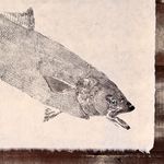 Obra Original | Anchova II