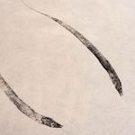 Obra Original | Casal de Peixe Espada