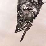 Obra Original | Robalo Flecha II