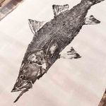 Obra Original | Robalo Flecha II